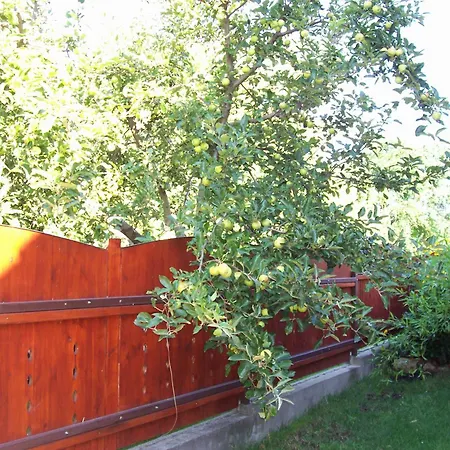 Haus Martha Quarto em Acomodações Particulares *