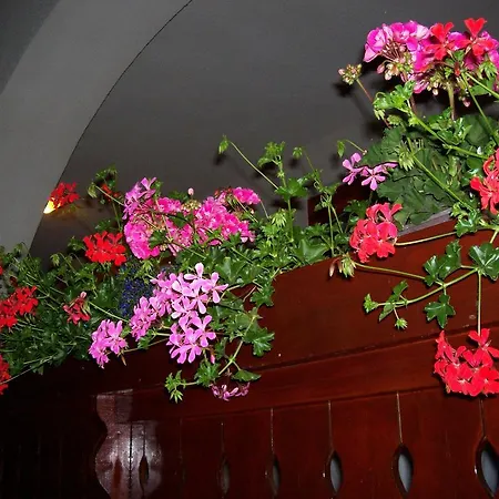 Haus Martha * בלטונודבארי