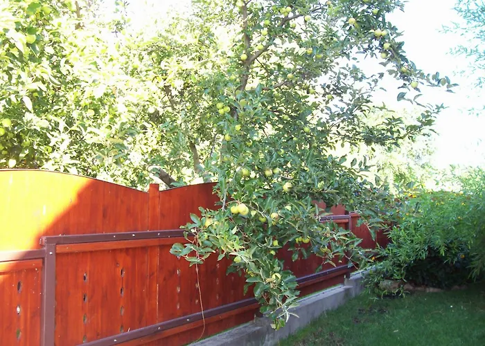 Haus Martha ホームステイ *